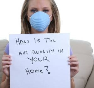 Miami King Steamer Carpet Cleaners