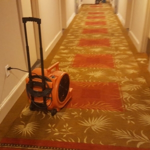 Photo of King Steamer Carpet Cleaners