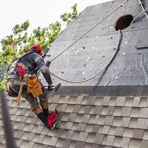 Grapevine Hail King Professionals