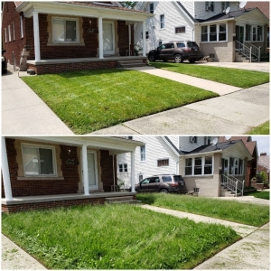 Photo of A&A Lawncare service