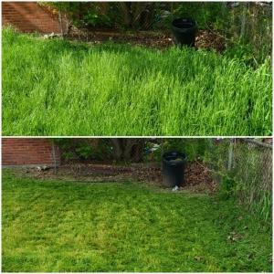 Photo of A&A Lawncare service