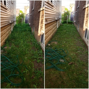 Photo of A&A Lawncare service