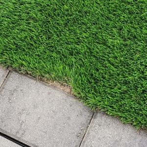 Photo of Turf Time AZ