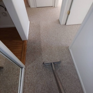 Photo of All Clean Carpet Care
