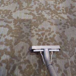 Photo of All Clean Carpet Care