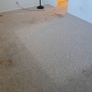 Photo of All Clean Carpet Care