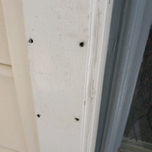 Photo of Veterans Emergency Water Damage & Restoration