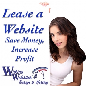 Photo of Wilkins Websites