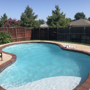 Photo of Primal Pool Care