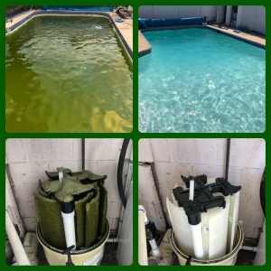 Photo of Primal Pool Care