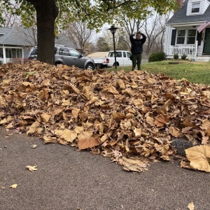 Photo of Mizzou Crew Landscaping