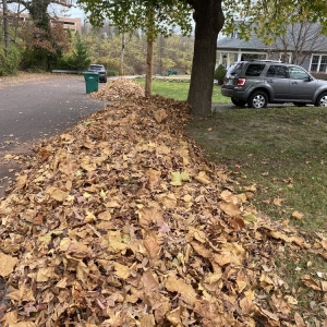 Photo of Mizzou Crew Landscaping
