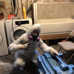 Photo of New York Mold Specialist