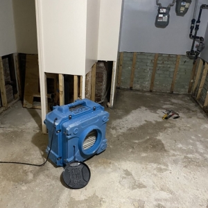 Photo of New York Mold Specialist