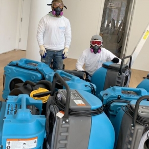 Photo of New York Mold Specialist