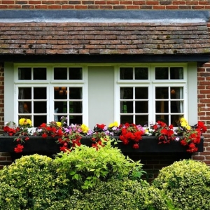 Photo of Great Home Offers