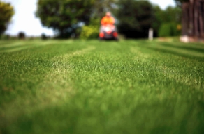 Chicago J Perez Landscaping
