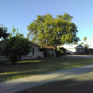 Photo of Echo Mountain Landscaping