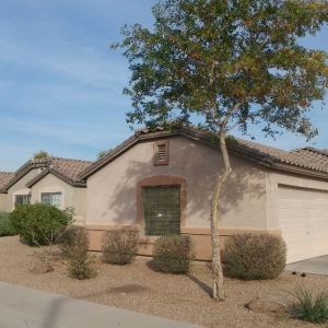 Photo of Echo Mountain Landscaping