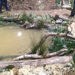 Photo of International Landscaping & Design