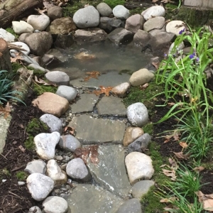 Severna Park International Landscaping & Design