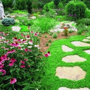Photo of International Landscaping & Design