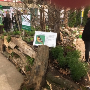 Photo of International Landscaping & Design