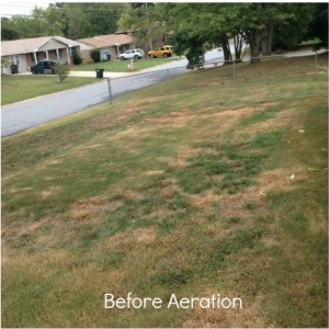 Photo of Lawn Guy Inc
