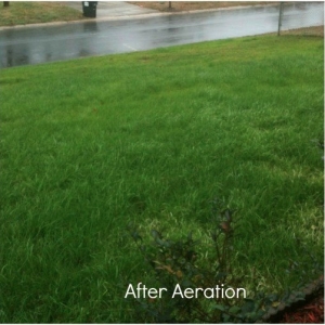 Photo of Lawn Guy Inc