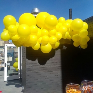 Photo of Balloons To Go