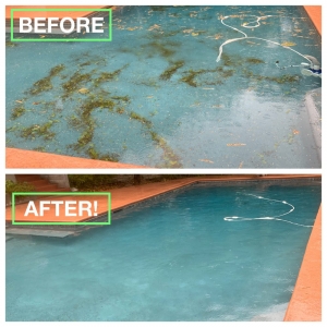 Photo of Sink or Swim Pool and Spa Service