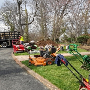 Photo of Clean Cut Yard Service