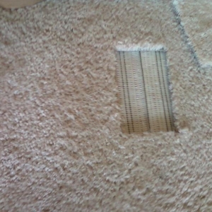 Photo of East Coast Carpet Care