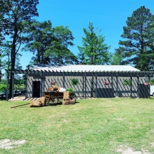 Photo of Wagon Trail at DuRant Farms