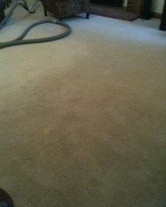 Photo of King of Kings Carpet Cleaning