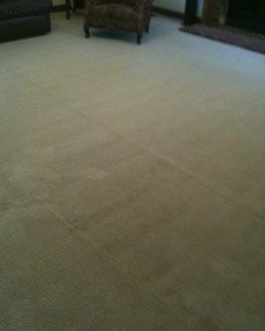 Photo of King of Kings Carpet Cleaning
