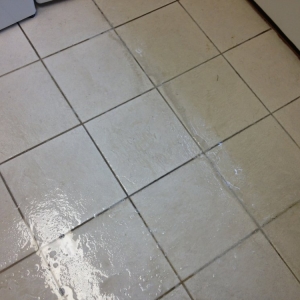 Photo of King of Kings Carpet Cleaning