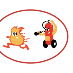 Photo of Fire Sentry Protection Services