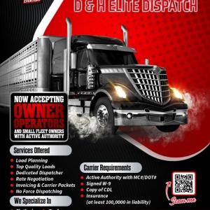 Brunswick D & H Elite Dispatch