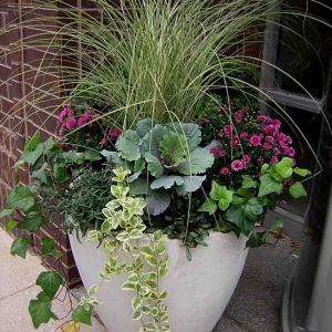 Photo of Bloomers Landscaping