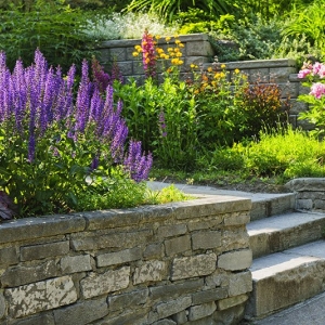Photo of Bloomers Landscaping