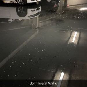 Photo of WaHu Apartments