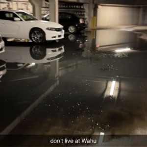 Photo of WaHu Apartments