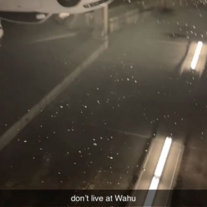 Photo of WaHu Apartments
