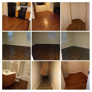 Photo of Blue Bird Cleaning Services