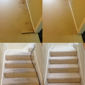 Photo of Bay Area Restoration Carpet Cleaning