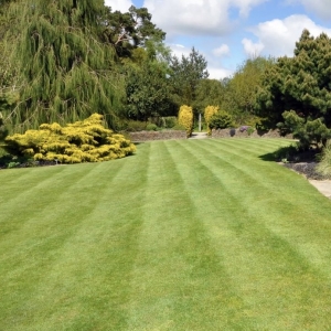 Photo of Park Place Lawn Care