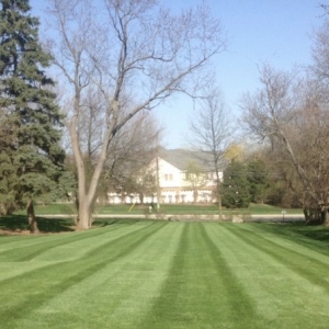 Photo of Park Place Lawn Care