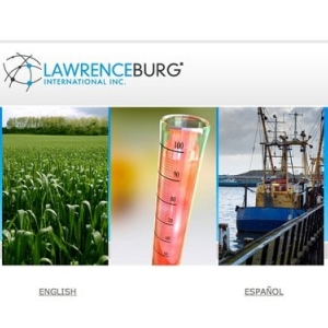 Photo of Miami Web Design Agency