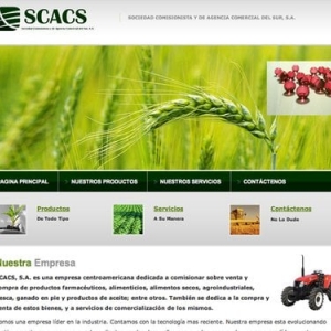 Photo of Miami Web Design Agency
